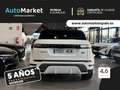 Land Rover Range Rover Evoque 2.0 D163 R-DYNAMIC S AUTO 4WD MHEV Blanco - thumbnail 7