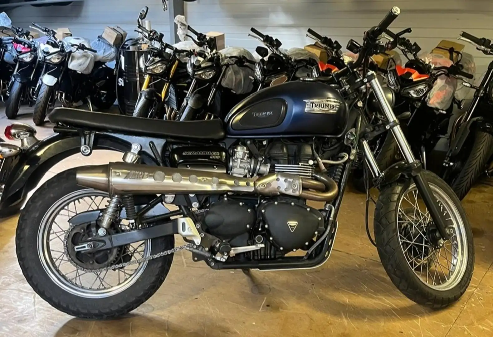 Triumph Scrambler Bleu - 2