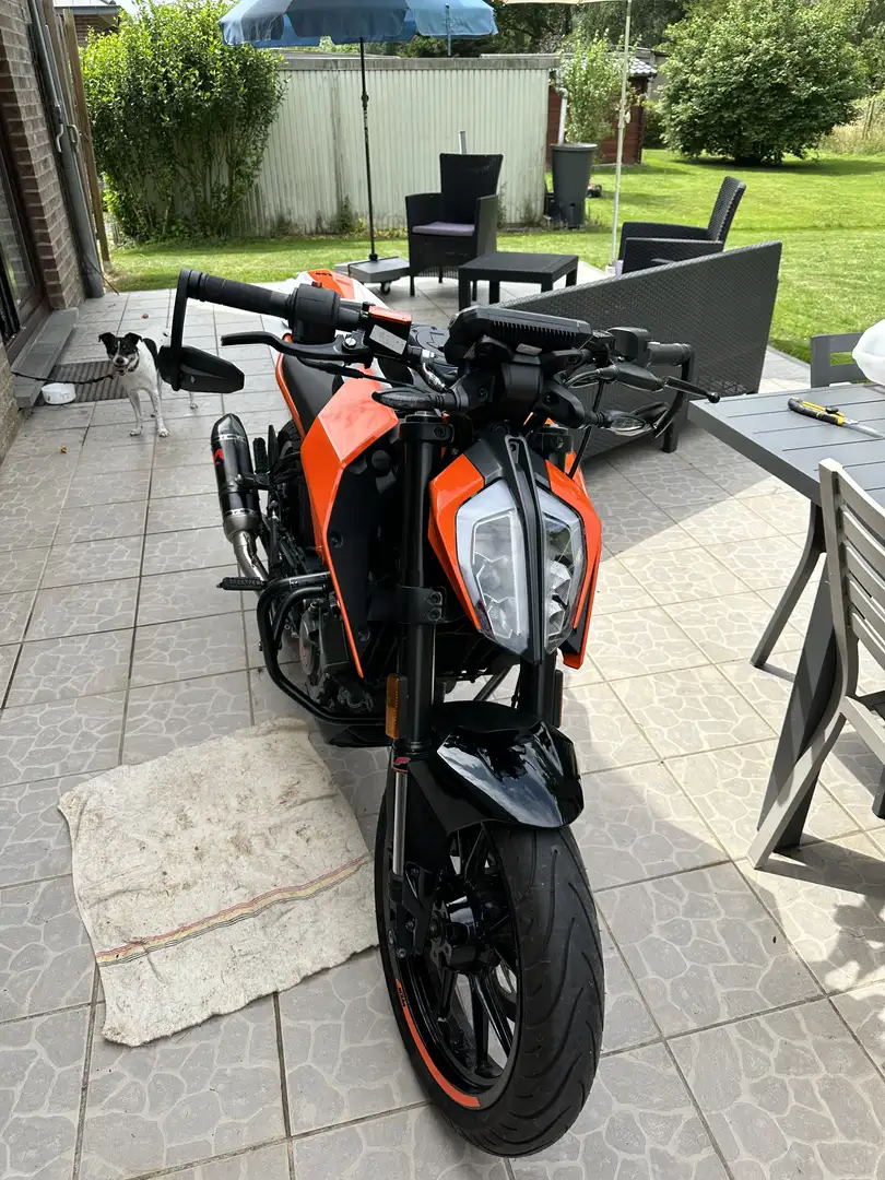 KTM 125 Duke akrapovic - 2