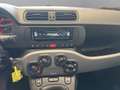 Fiat Panda Panda 1.0 firefly hybrid City Life s&s 70cv Bianco - thumbnail 11