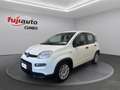 Fiat Panda Panda 1.0 firefly hybrid City Life s&s 70cv Bianco - thumbnail 1