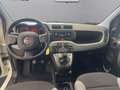 Fiat Panda Panda 1.0 firefly hybrid City Life s&s 70cv Bianco - thumbnail 10