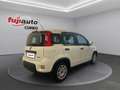 Fiat Panda Panda 1.0 firefly hybrid City Life s&s 70cv Bianco - thumbnail 3