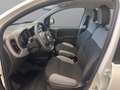 Fiat Panda Panda 1.0 firefly hybrid City Life s&s 70cv Bianco - thumbnail 5