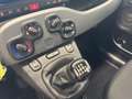 Fiat Panda Panda 1.0 firefly hybrid City Life s&s 70cv Bianco - thumbnail 12