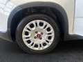 Fiat Panda Panda 1.0 firefly hybrid City Life s&s 70cv Bianco - thumbnail 14