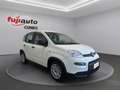 Fiat Panda Panda 1.0 firefly hybrid City Life s&s 70cv Bianco - thumbnail 4