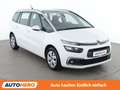 Citroen C4 SpaceTourer 1.5 Blue-HDi Feel Edition Weiß - thumbnail 8