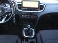 Kia Ceed / cee'd 1.0 T-GDi DynamicLine | CAMERA | CARPLAY | NAVIGAT Grau - thumbnail 32