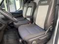 Iveco Daily Daily 35S18 3.0 - Luftfederung - H3 Dach 2.100mm Weiß - thumbnail 3