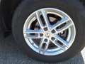 Nissan Qashqai 1,3 DIG T-Acenta Weiß - thumbnail 20