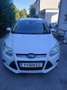 Ford Focus Focus Easy 1,0 EcoBoost Easy Weiß - thumbnail 1