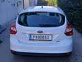Ford Focus Focus Easy 1,0 EcoBoost Easy Weiß - thumbnail 3