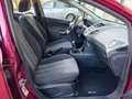Ford Fiesta 1.2 BENZINA NEOPATENTATI 5 PORTE PARI AL NUOVO Rot - thumbnail 12