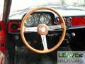 Alfa Romeo Spider CRS ASI - 1300 SPIDER (M1213) Rosso - thumbnail 12