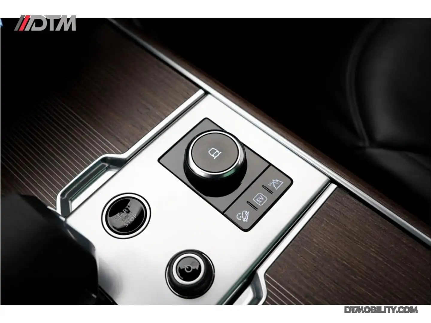 Thumb 29