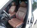 BMW X5 M M50 i - Swarovski - Scheckh. gepfl. Bianco - thumbnail 13