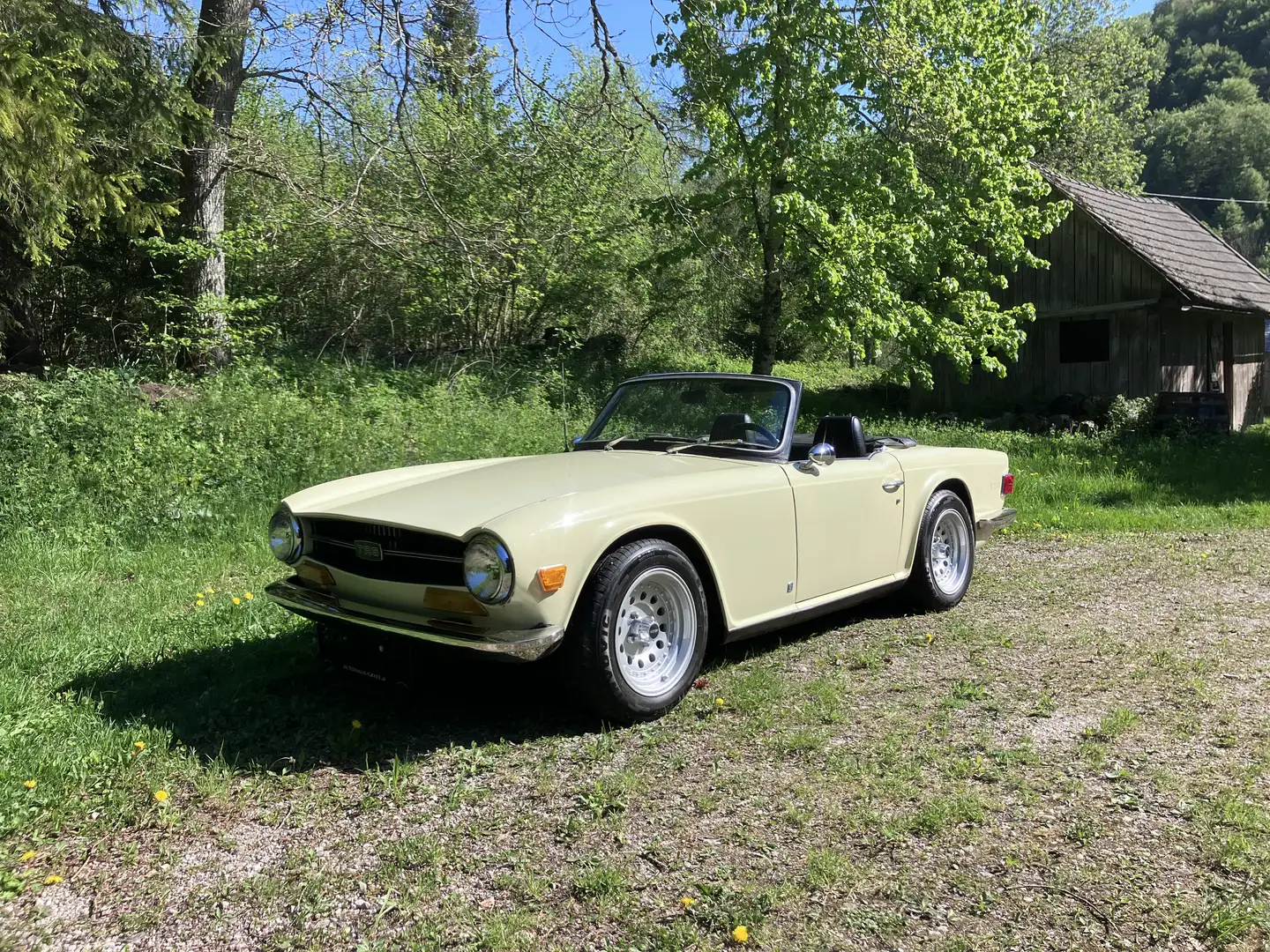 Triumph TR6 Gelb - 1