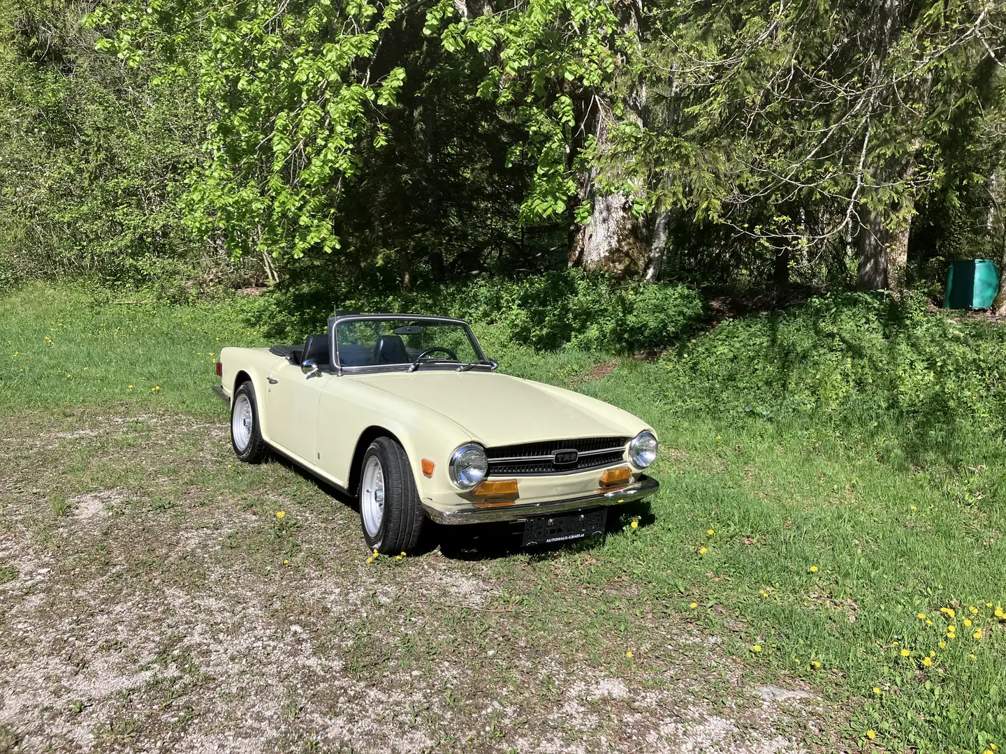 Triumph TR6 Gelb - 2