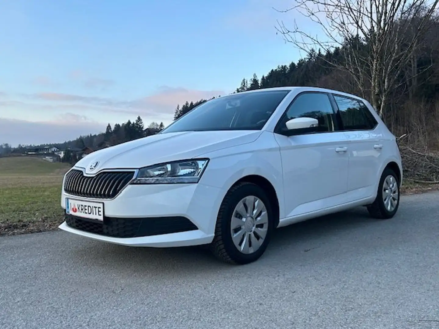 Skoda Fabia 8fach Bereift & möglicher SOFORTFINANZIERUNG !! Weiß - 1