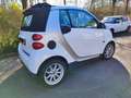 smart forTwo smart fortwo cabrio softouchedition limited two Weiß - thumbnail 5