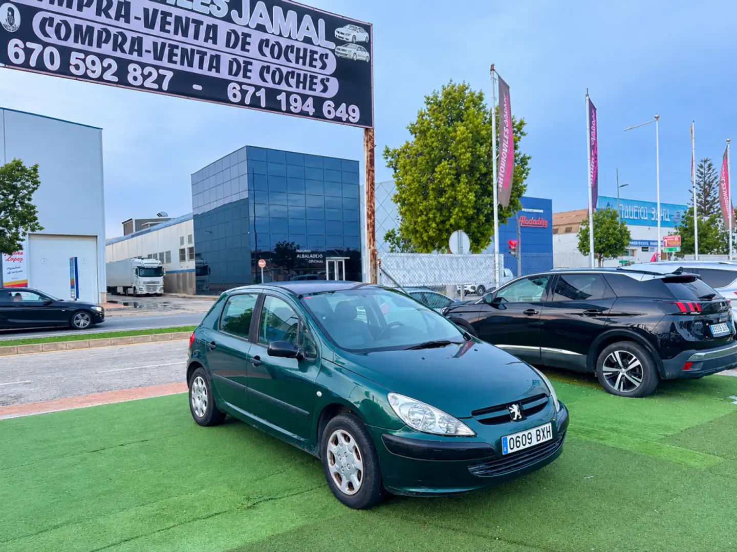 Peugeot 307 2.0HDI XR 110 - 1
