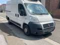 Fiat ducato Blanco - thumbnail 3