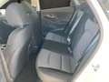 Hyundai i30 - PD Smart Line 1.0 T-GDI c6bs1-PP5 Weiß - thumbnail 12