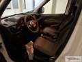 Fiat Doblo Doblò 1.6 MJT 120CV Cassonato Work-Up - thumbnail 5