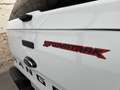 Ford Ranger 2,0 Diesel Wildtrak Doppelkabine 4x4 Weiß - thumbnail 7