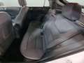 Hyundai IONIQ HEV 1.6 GDI Klass Blanco - thumbnail 13