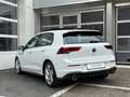 Volkswagen Golf VIII GTI PANO/SHZ/LED Bianco - thumbnail 6