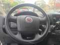 Fiat Ducato 35 3.0 CNG PLM-SL-TM Furgone coibentato !!!! Bílá - thumbnail 9