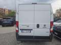 Fiat Ducato 35 3.0 CNG PLM-SL-TM Furgone coibentato !!!! Bílá - thumbnail 6