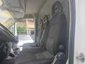 Fiat Ducato 35 3.0 CNG PLM-SL-TM Furgone coibentato !!!! Bílá - thumbnail 4