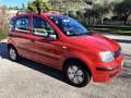 Fiat Panda 1.1 Active eco - Solo 52ooo Km !!! Rosso - thumbnail 2