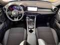 Alfa Romeo Tonale 1.6 Sprint 130cv tct6 - IVA ESPOSTA Blau - thumbnail 11