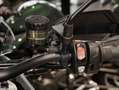 Triumph Tiger 900 Rally Pro, inkl. 900 Vorteilsaktion Gris - thumbnail 9