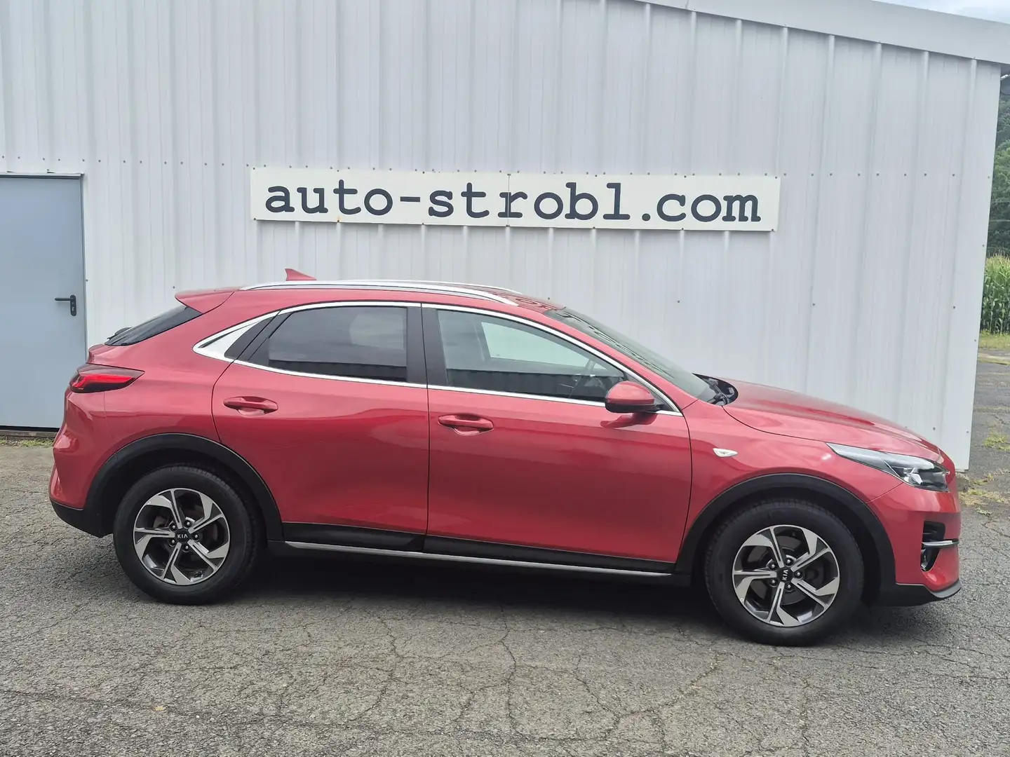 Kia XCeed 1,0 TGDI GPF Silber Rot - 2