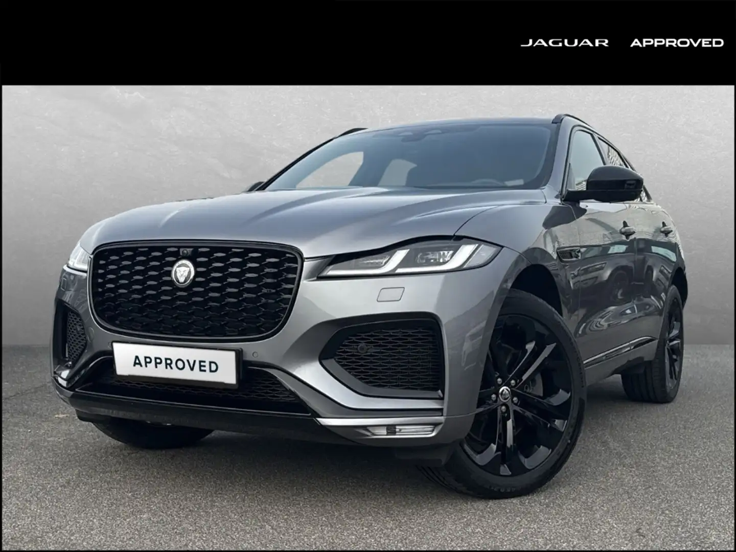 Jaguar F-Pace D300 R-Dynamic HSE 90th Anniv. Edition HUD AHK Win Gris - 1