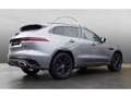 Jaguar F-Pace D300 R-Dynamic HSE 90th Anniv. Edition HUD AHK Win Grau - thumbnail 3