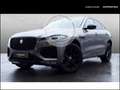Jaguar F-Pace D300 R-Dynamic HSE 90th Anniv. Edition HUD AHK Win Grau - thumbnail 1