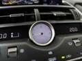 Lexus NX 300h AWD Sport Edition | Trekhaak | Safety System | Pre Gris - thumbnail 30