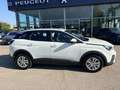 Peugeot 3008 1.6 Bluehdi Business 120 CV Bianco - thumbnail 4