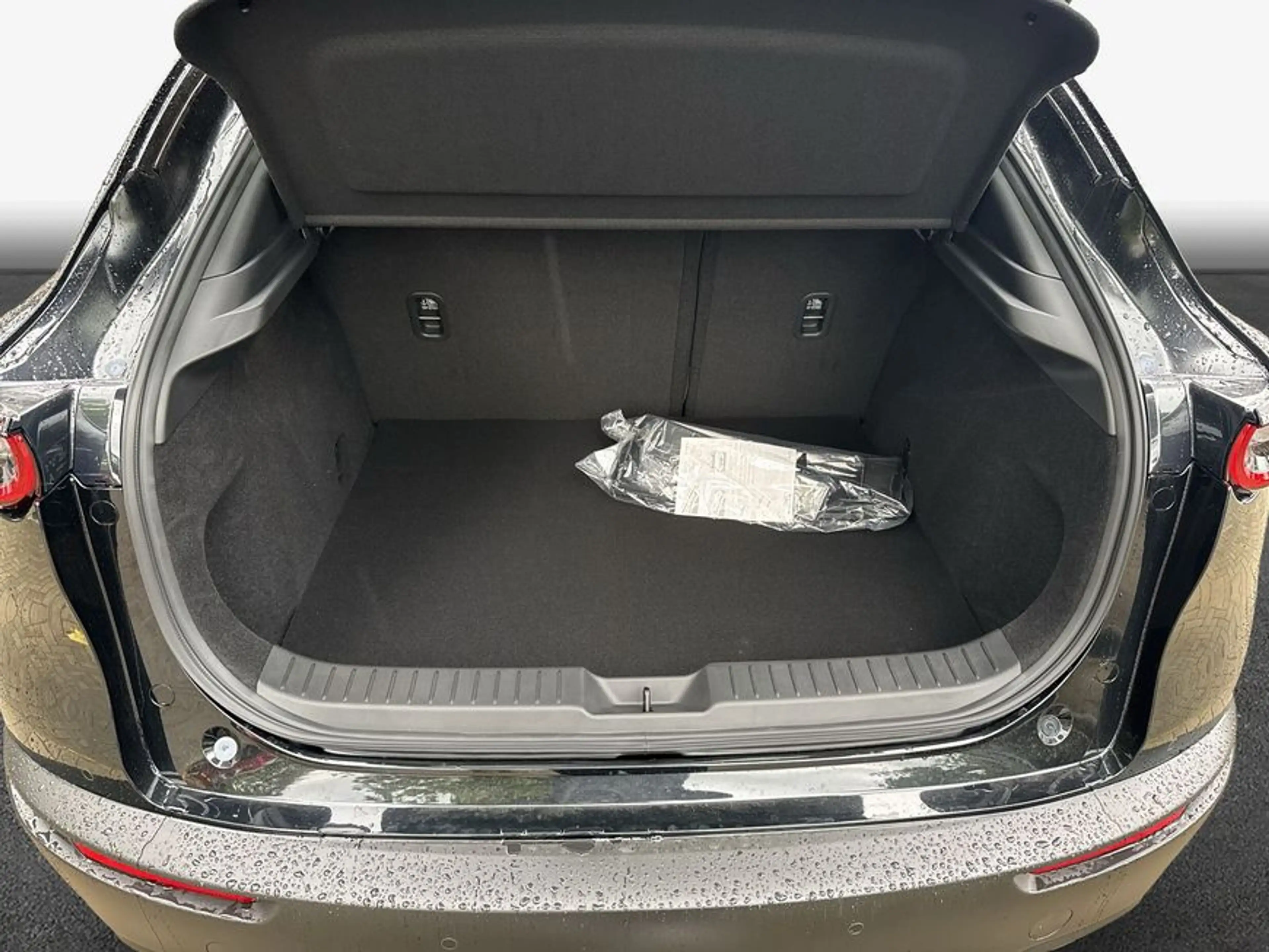Mazda CX-30 e-SKYACTIVE G 140 Aut. NAGISA 103 kW, 5-türi — photo 8