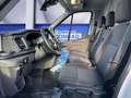 Ford Transit 350 L2H2 Lkw VA Trend Blanc - thumbnail 8