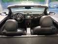 Volkswagen New Beetle New Beetle Cabrio 1.6 tdi Bianco - thumbnail 8