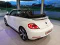 Volkswagen New Beetle New Beetle Cabrio 1.6 tdi Bianco - thumbnail 7
