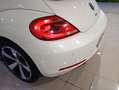 Volkswagen New Beetle New Beetle Cabrio 1.6 tdi Bianco - thumbnail 10