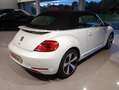 Volkswagen New Beetle New Beetle Cabrio 1.6 tdi Bianco - thumbnail 4